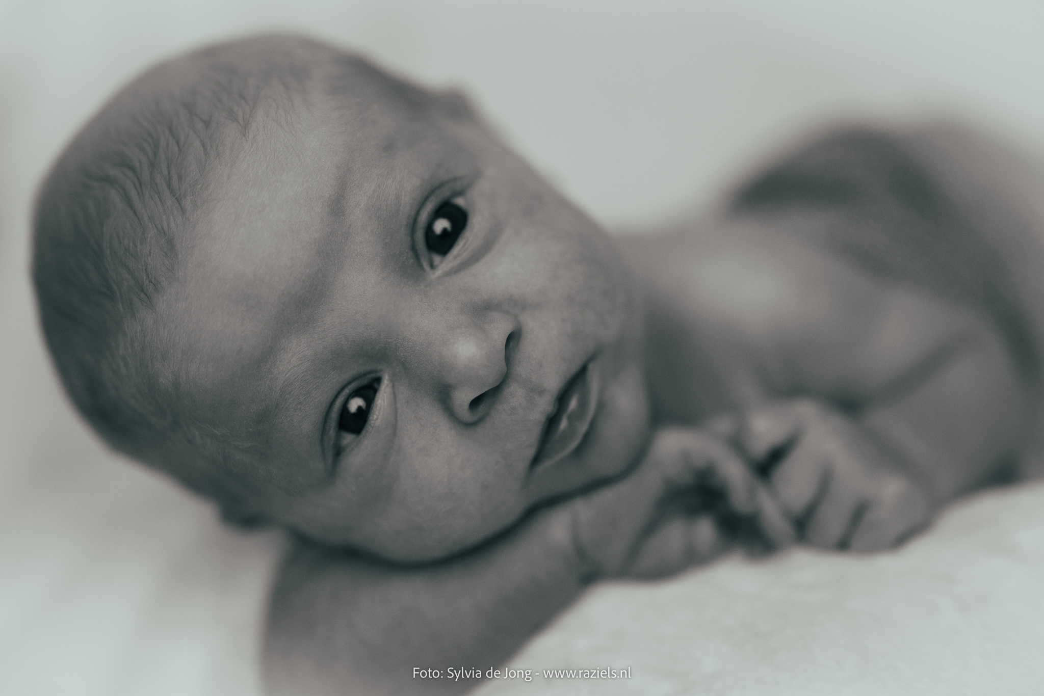 Baby fotoshoot Raziels Fotograaf Lelystad